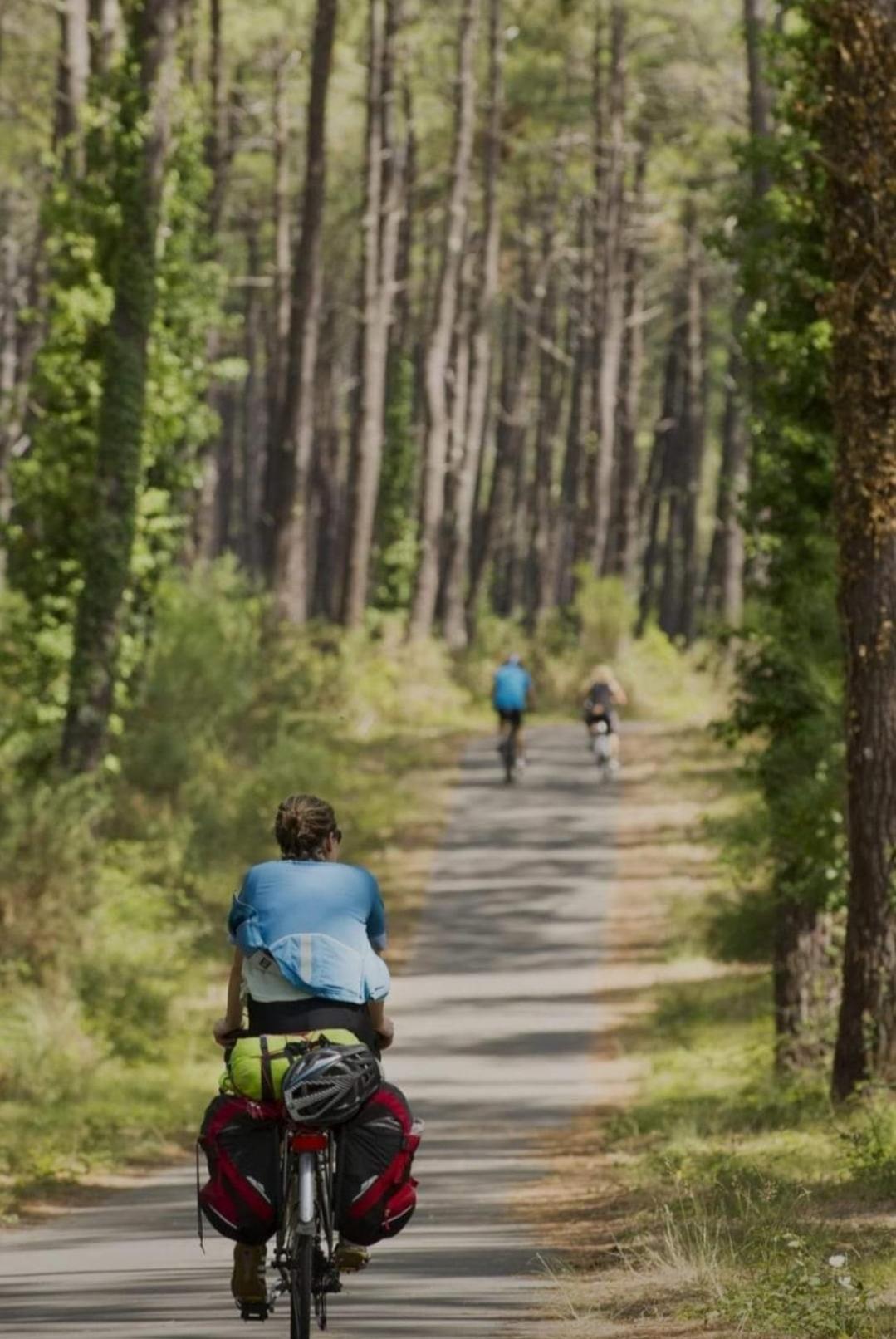 Camping Des Dunes De Contis Mobilhome 3Ch, Saint-Julien-en-Born Eksteriør billede