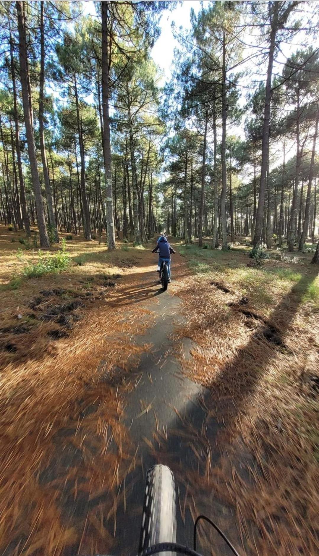 Camping Des Dunes De Contis Mobilhome 3Ch, Saint-Julien-en-Born Eksteriør billede